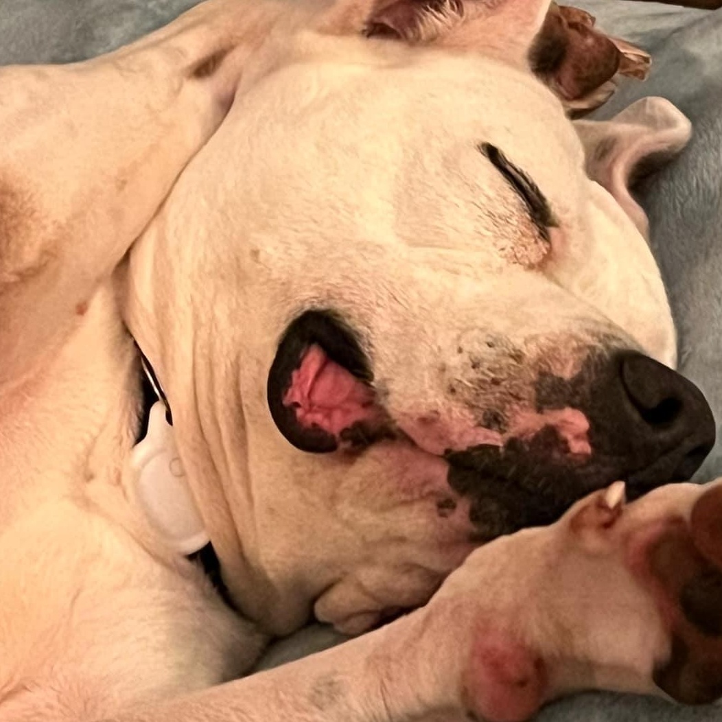 Juliette - in foster home