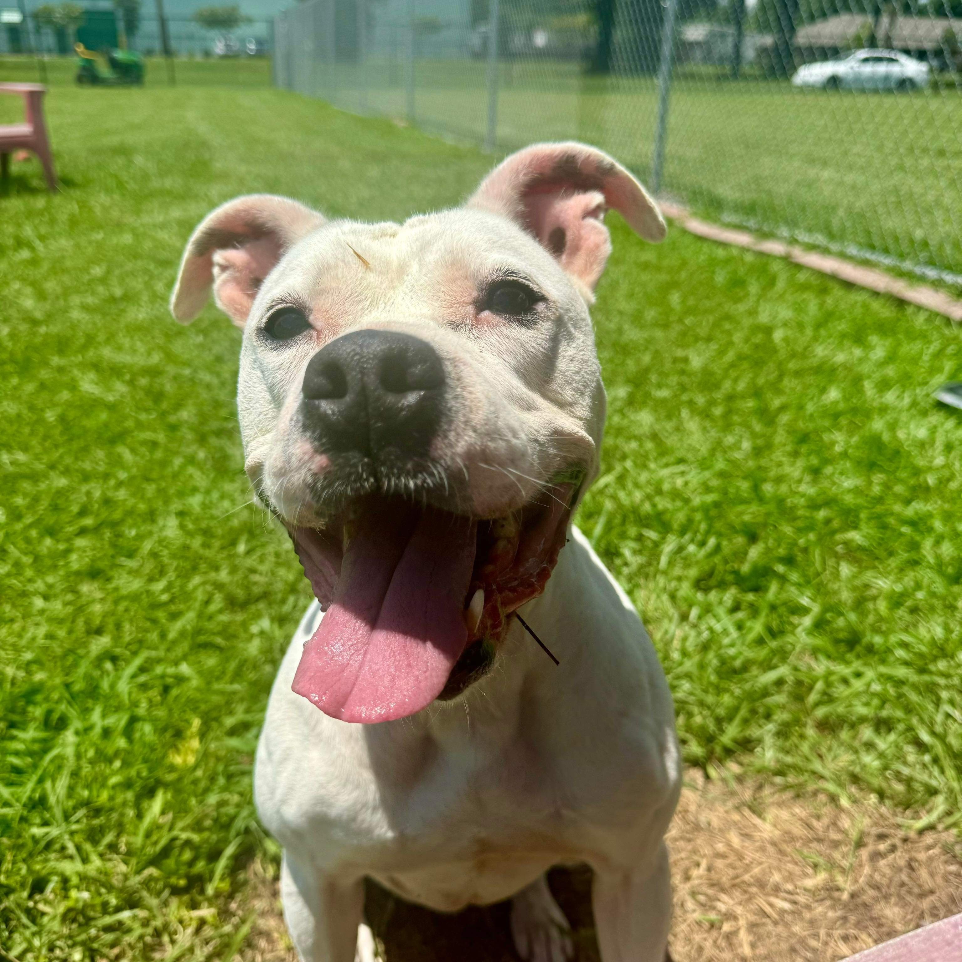 Juliette - in foster home