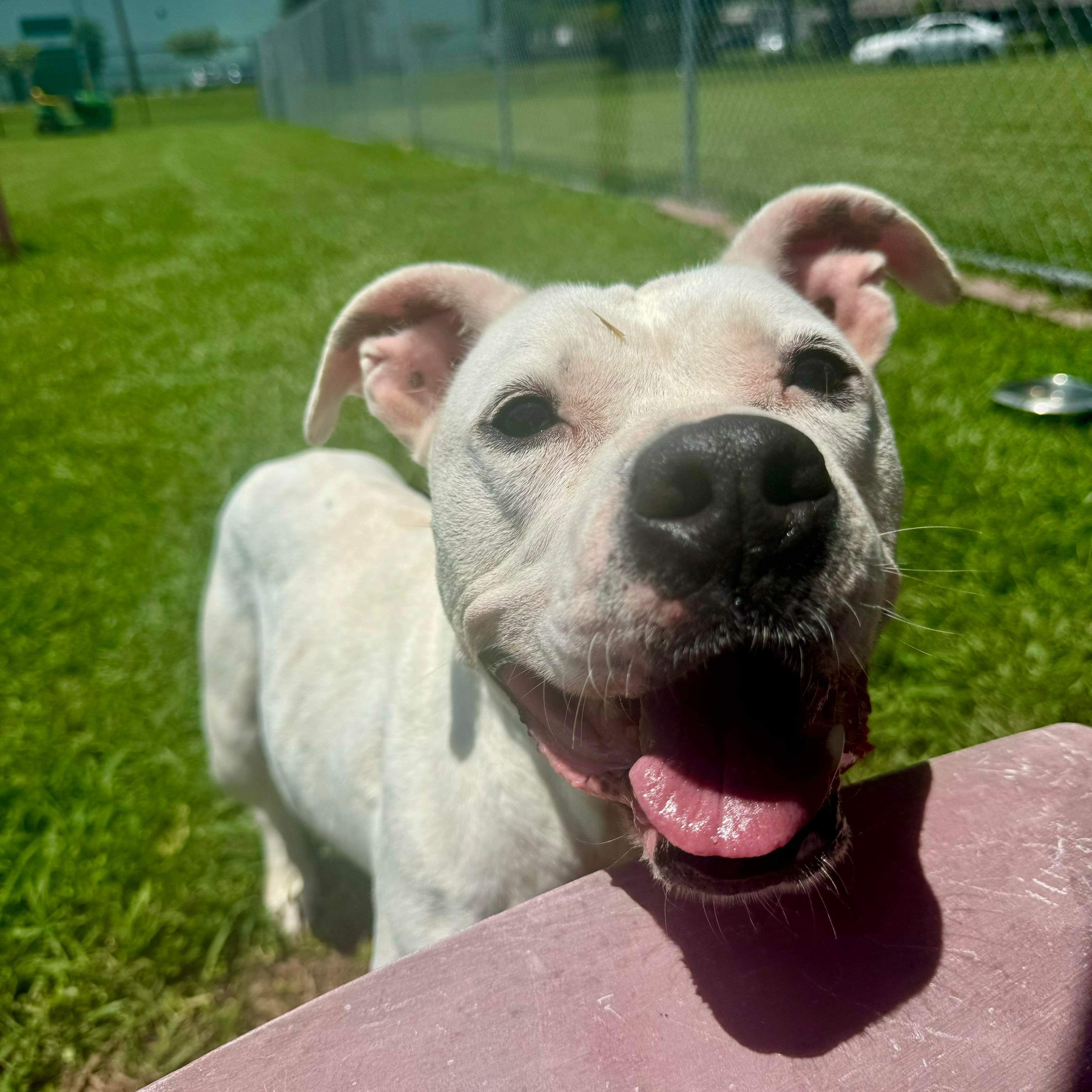 Juliette - in foster home