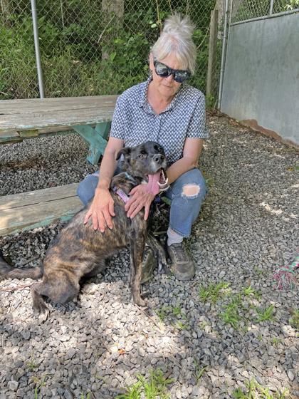 Enlarge Grand Torino, a ADOPTABLE Mixed Breed in Marshall, NC image 2/6