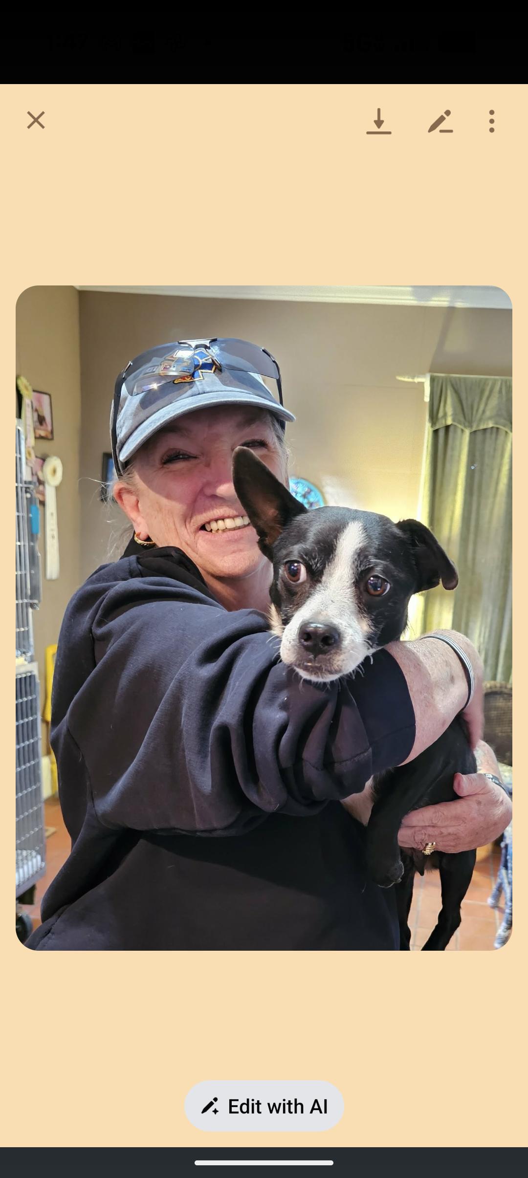 Enlarge PANDA, a ADOPTABLE mixed breed in Browns Mills, NJ image 3/3