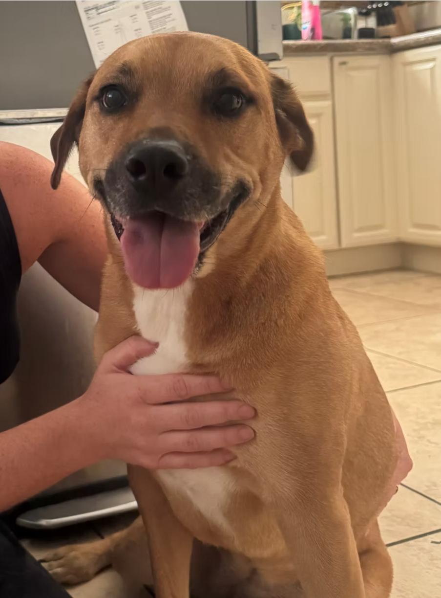 Nala
