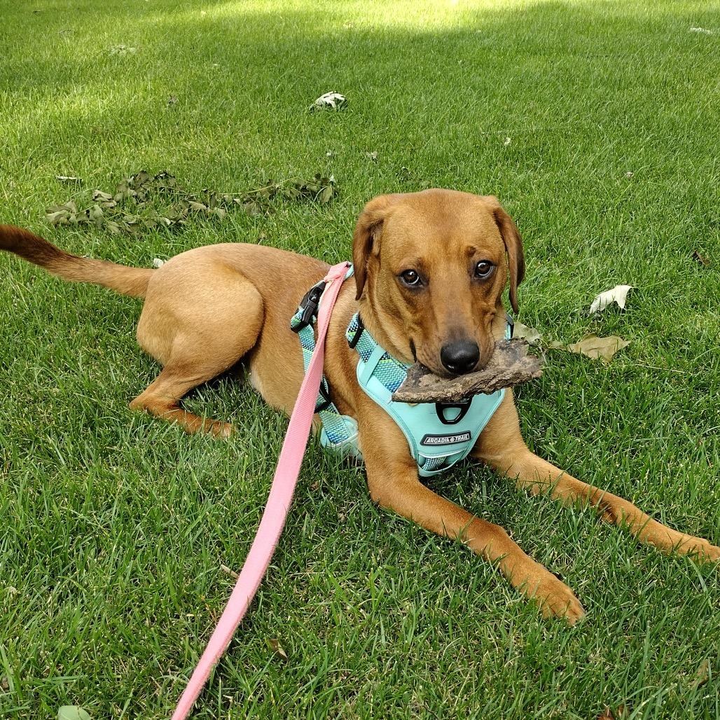 Sadie AB — thumbnail 2