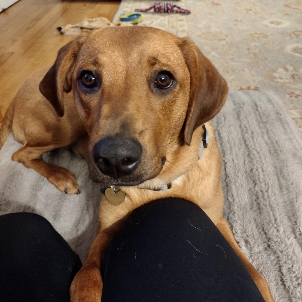 Sadie AB — thumbnail 4