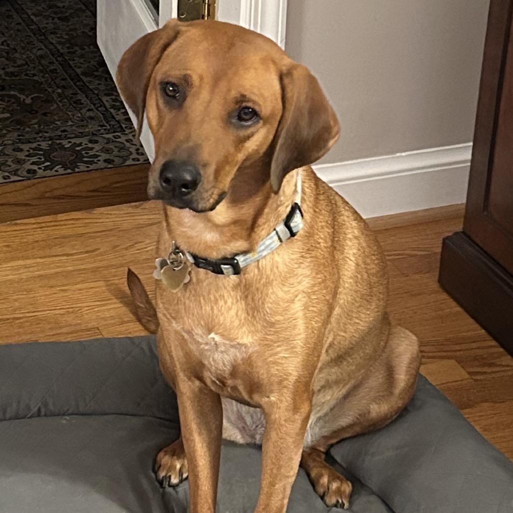 Sadie AB — thumbnail 5