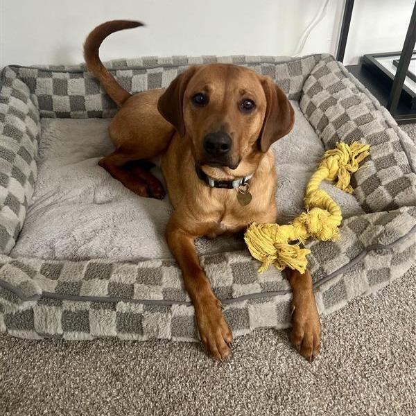 Sadie AB — thumbnail 6