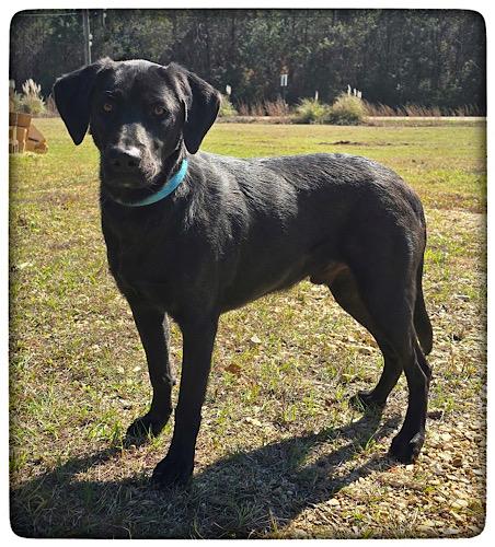 Sashimi — thumbnail 3