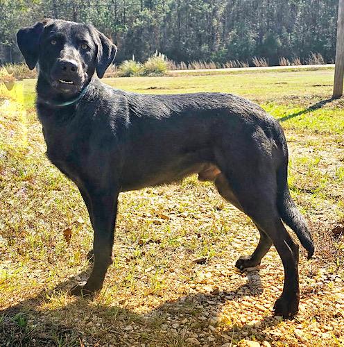 Sashimi — thumbnail 4