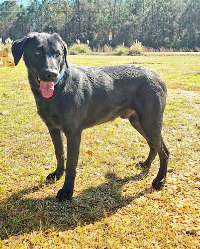 Sashimi — thumbnail 5