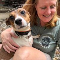 Jack, a ADOPTABLE mixed breed in Albany, NY image 5/5