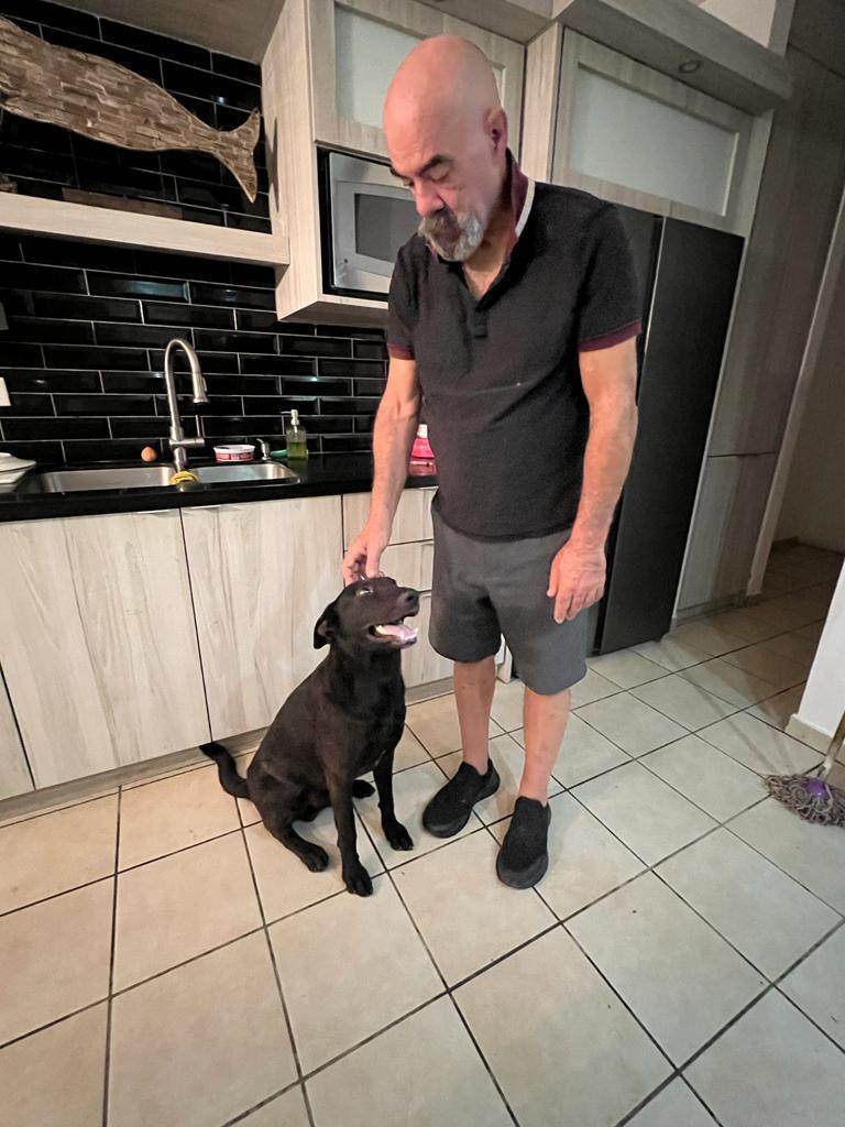 DORITO, a Adoptable mixed breed in New York, NY image 3/10