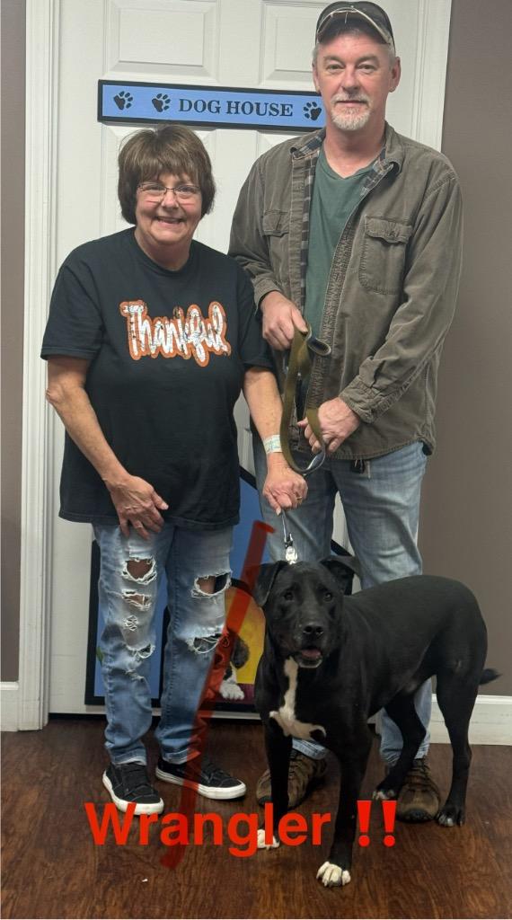Enlarge WRANGLER adopted, a Adopted mixed breed in Crossville, TN image 5/6