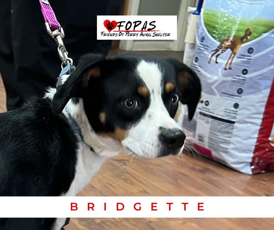 Bridgette thumbnail 2