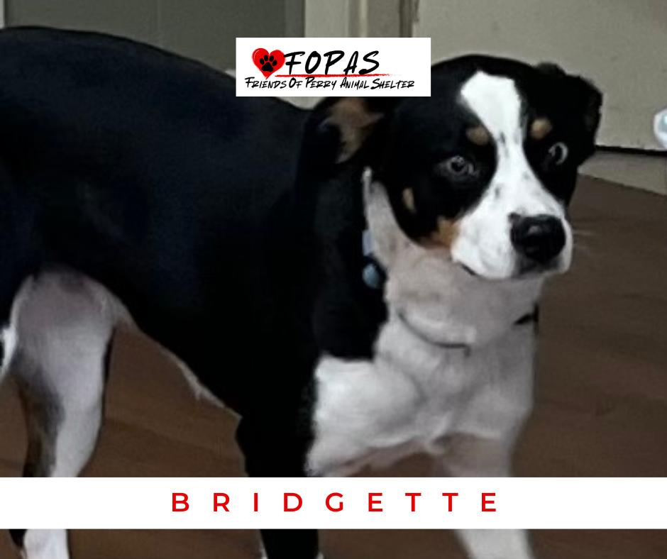 Bridgette thumbnail 4