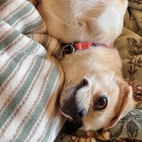 Greta