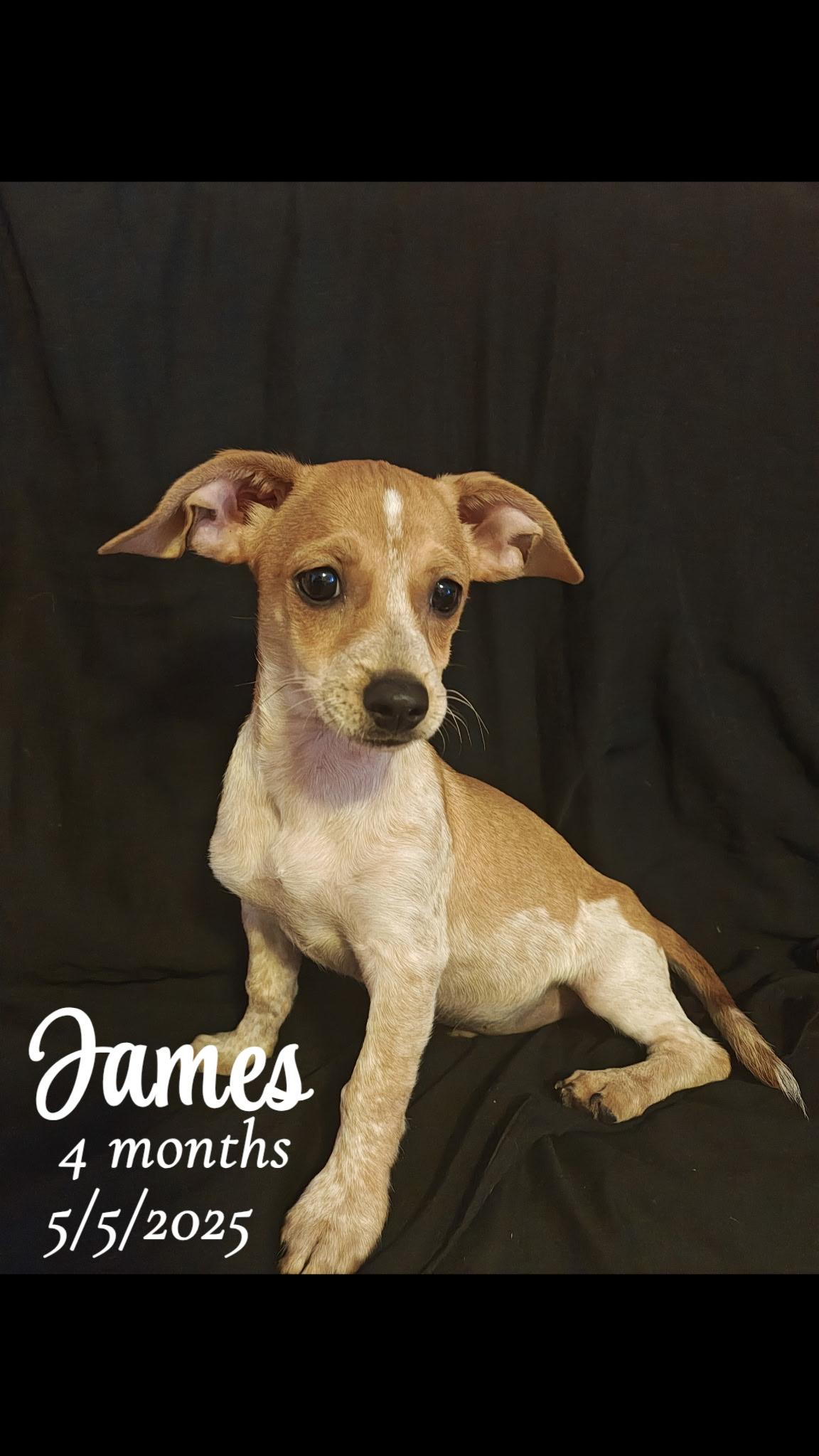 James