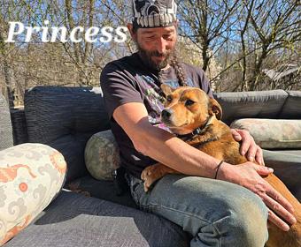Princess, a ADOPTABLE mixed breed in Canterbury, CT image 6/6