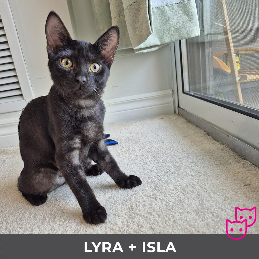 Lyra (bonded with Isla)