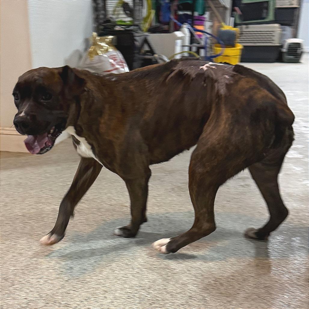 Lily — thumbnail 5