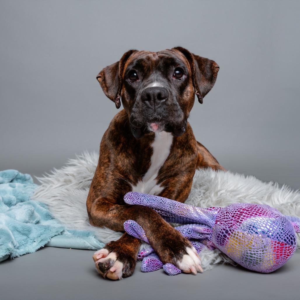 Lily — thumbnail 6