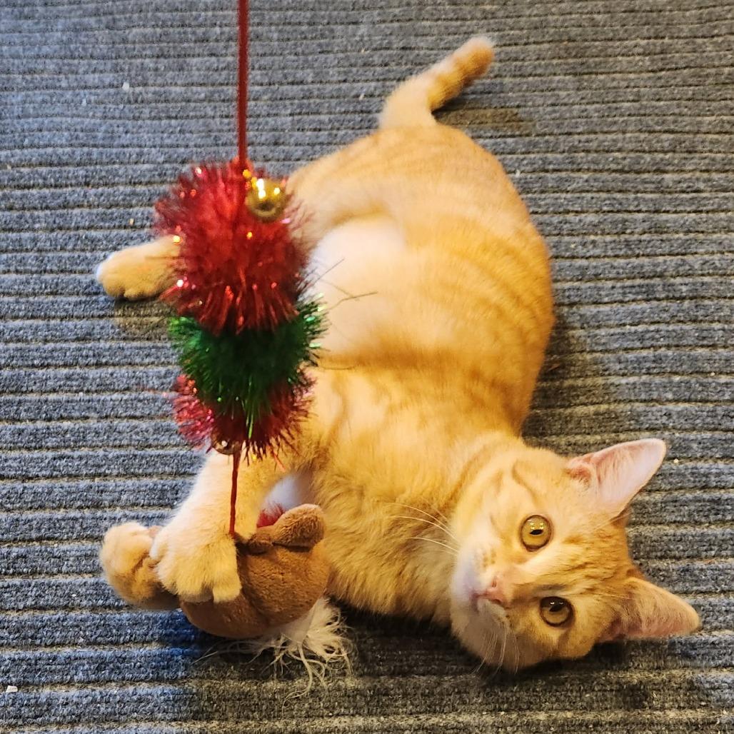 Stone (Cherish) — thumbnail 2