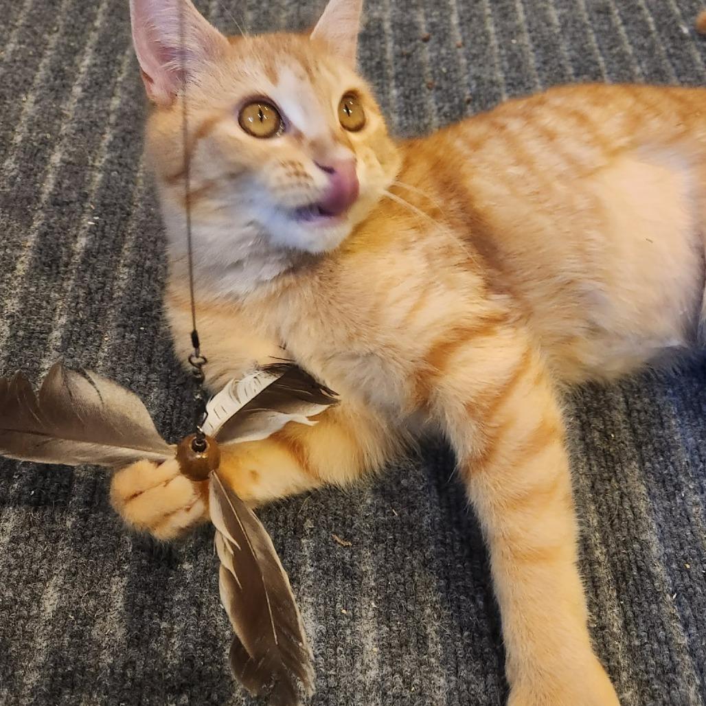 Stone (Cherish) — thumbnail 3