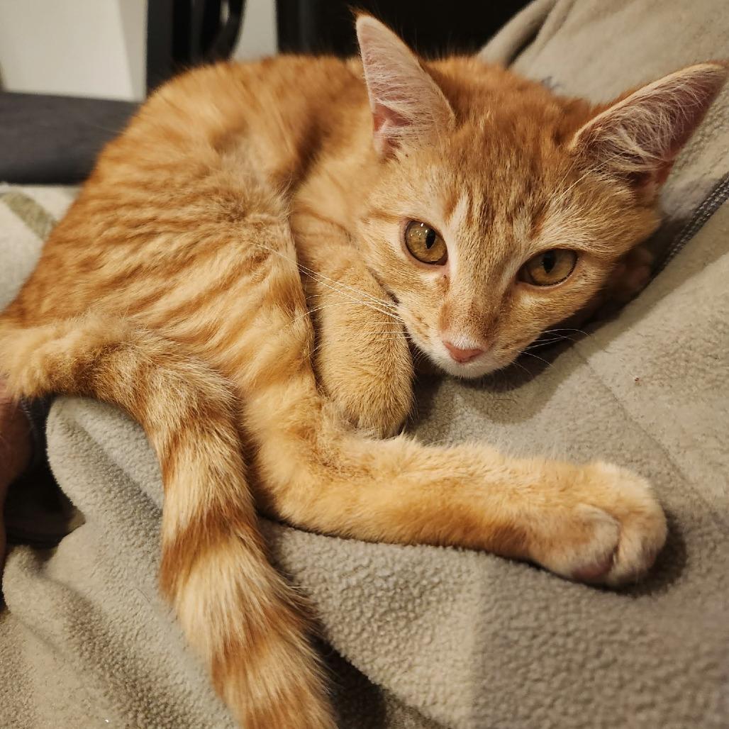 Stone (Cherish) — thumbnail 4