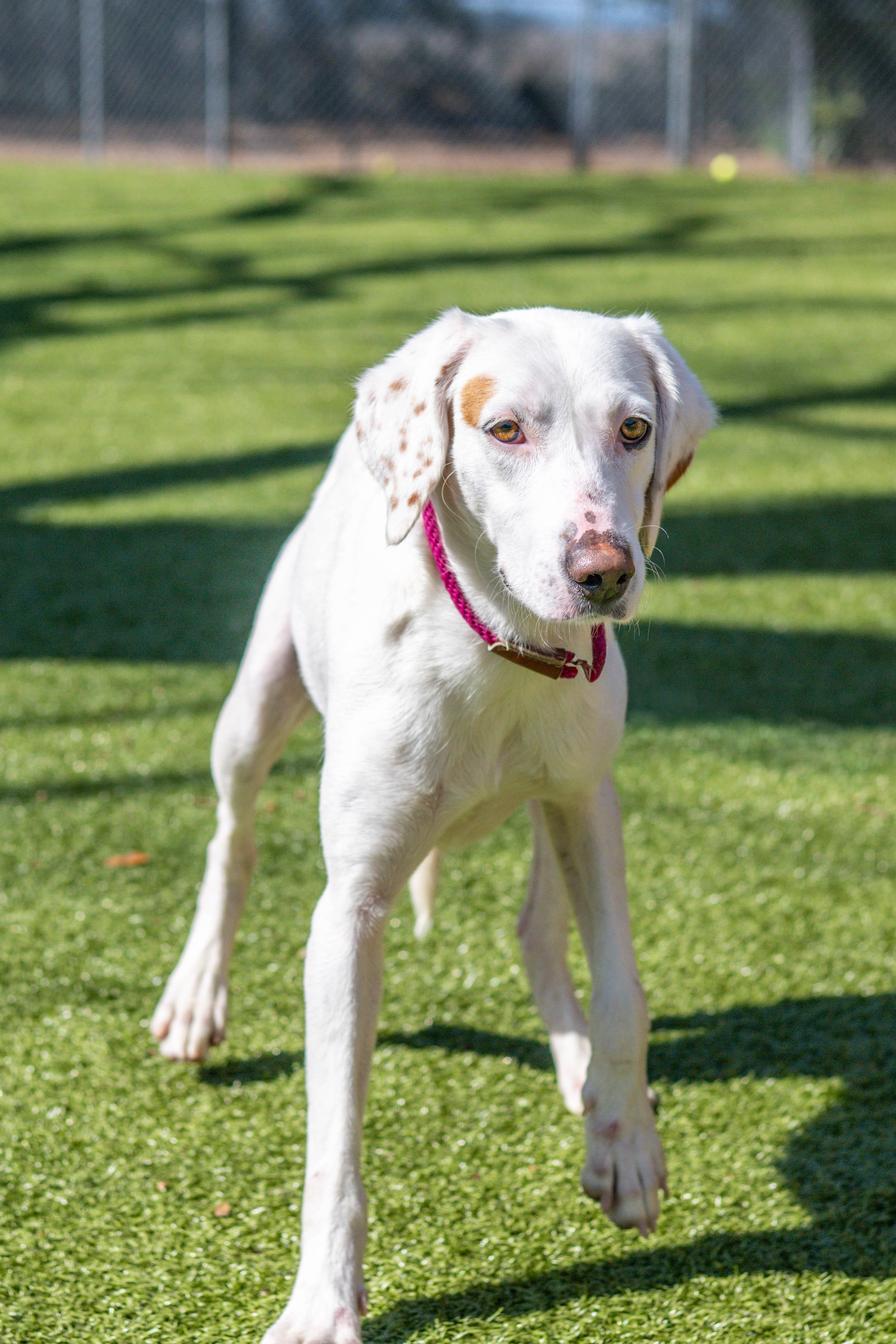 Wilma — thumbnail 2