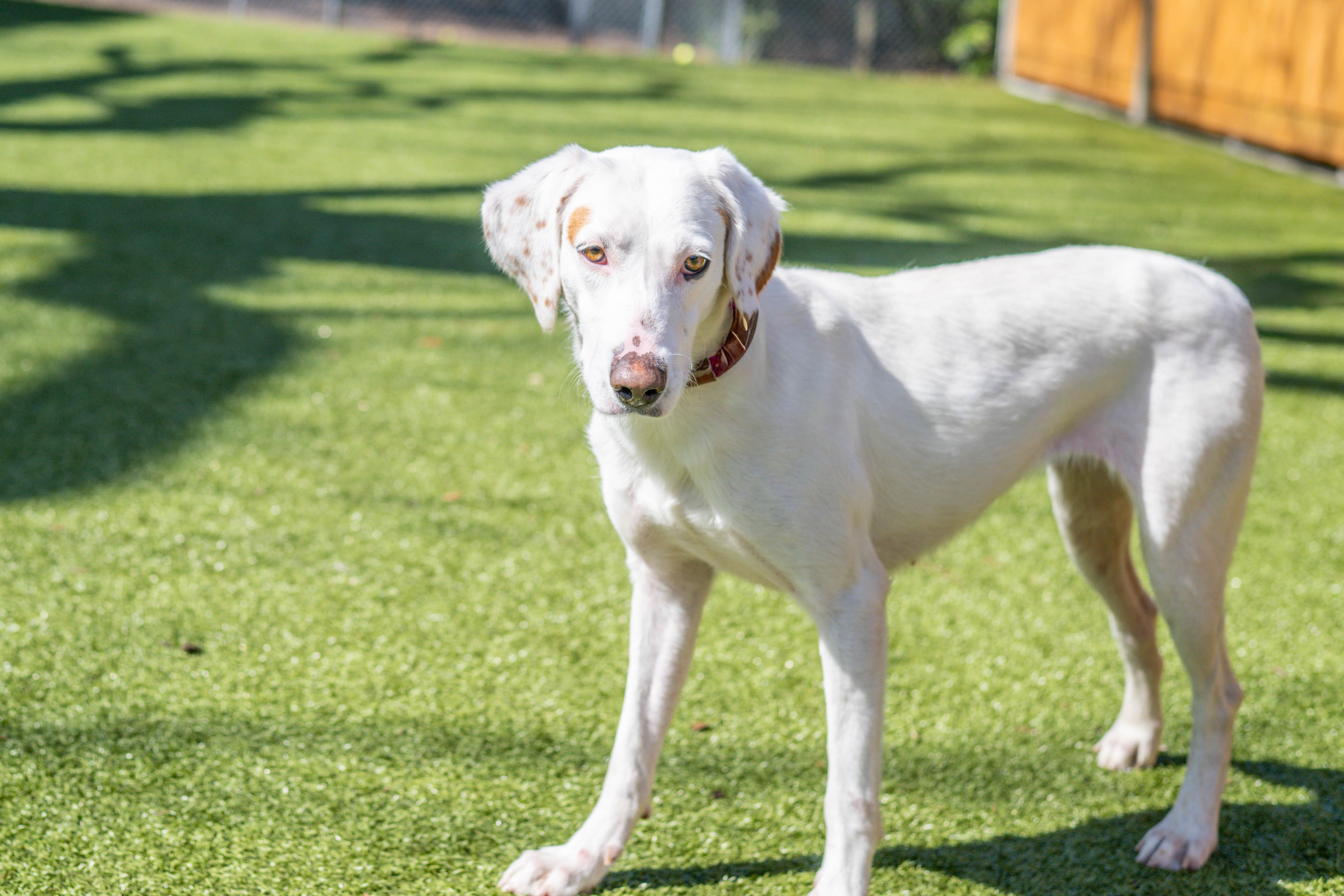 Wilma — thumbnail 3