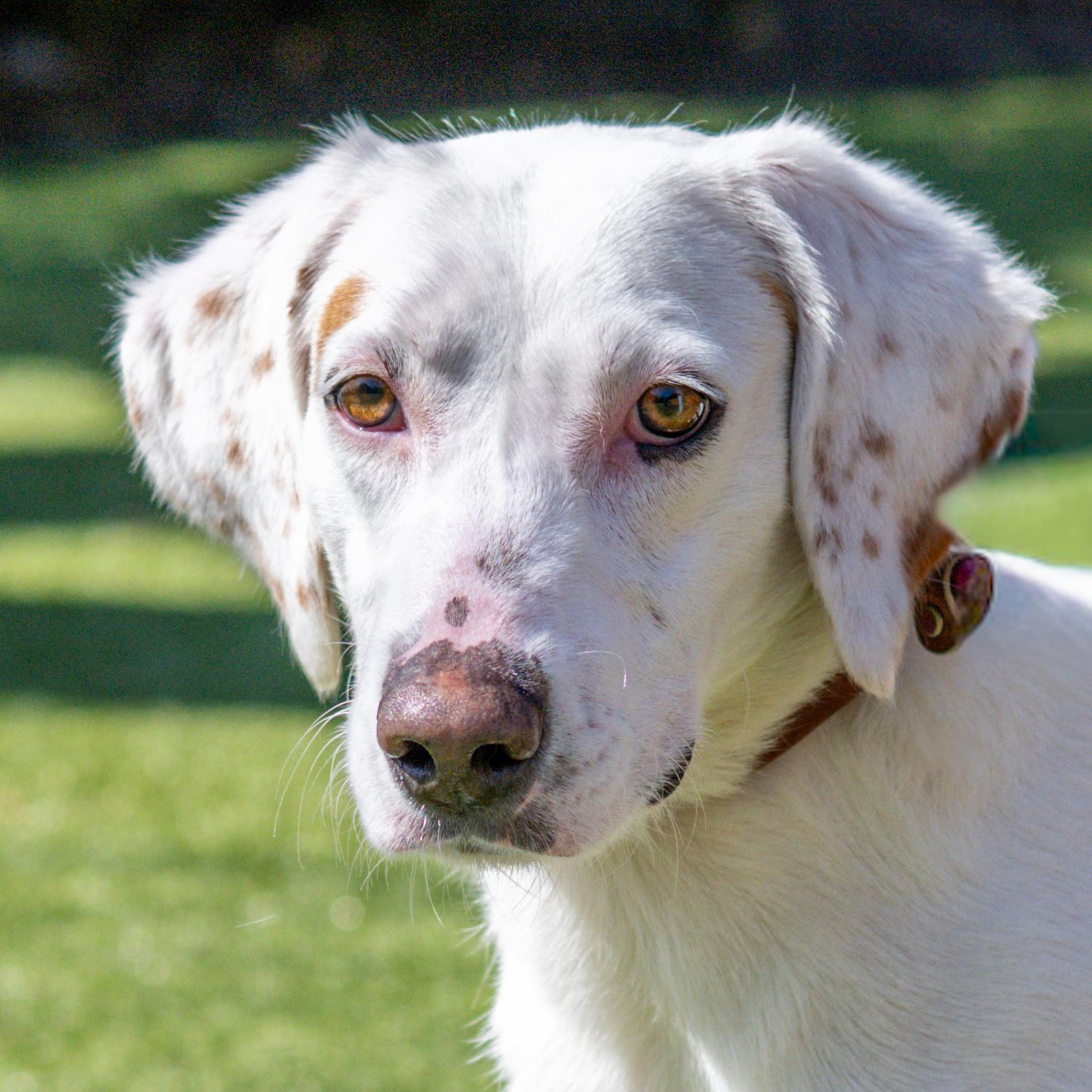 Wilma — thumbnail 4