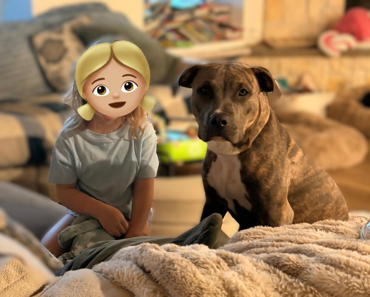 Enlarge Terra - EXT TM, a Adoptable mixed breed in Dallas, TX image 2/3