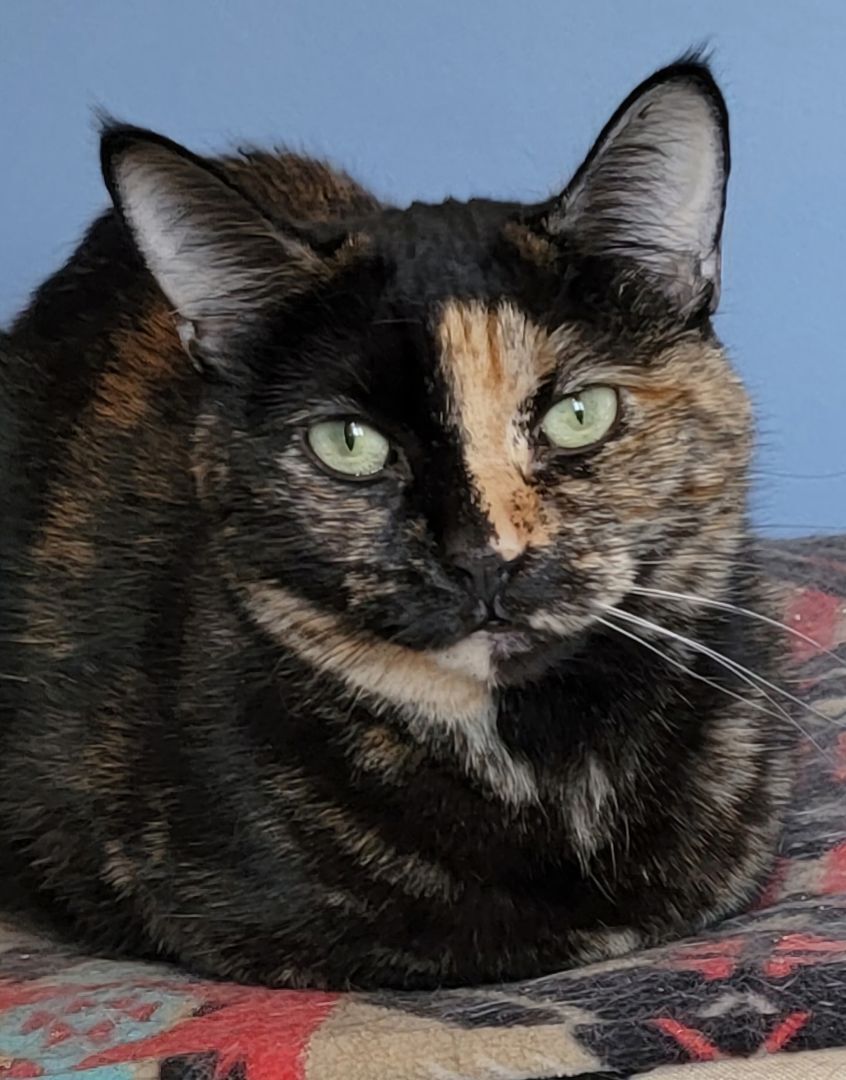 Della Delilah thumbnail 3