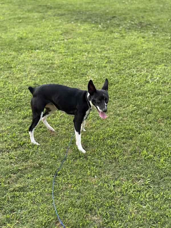 Lacie