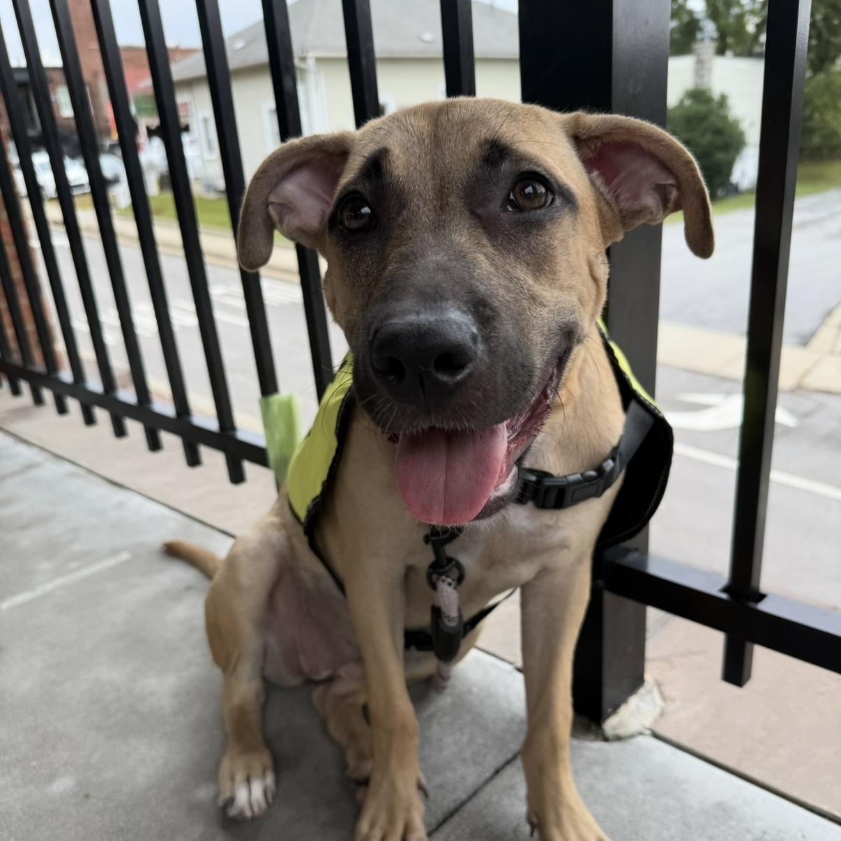 Naomi Wildman — thumbnail 2