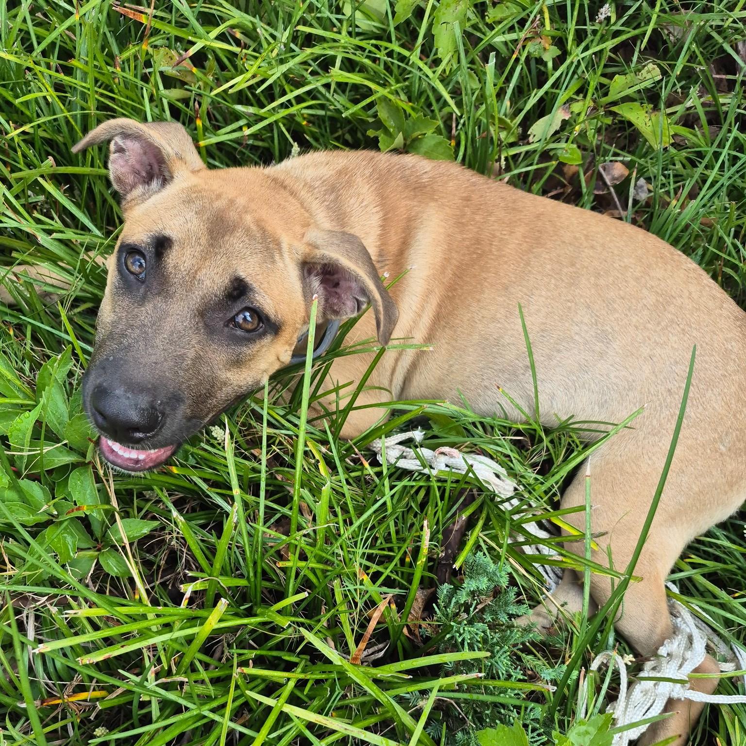 Naomi Wildman — thumbnail 3