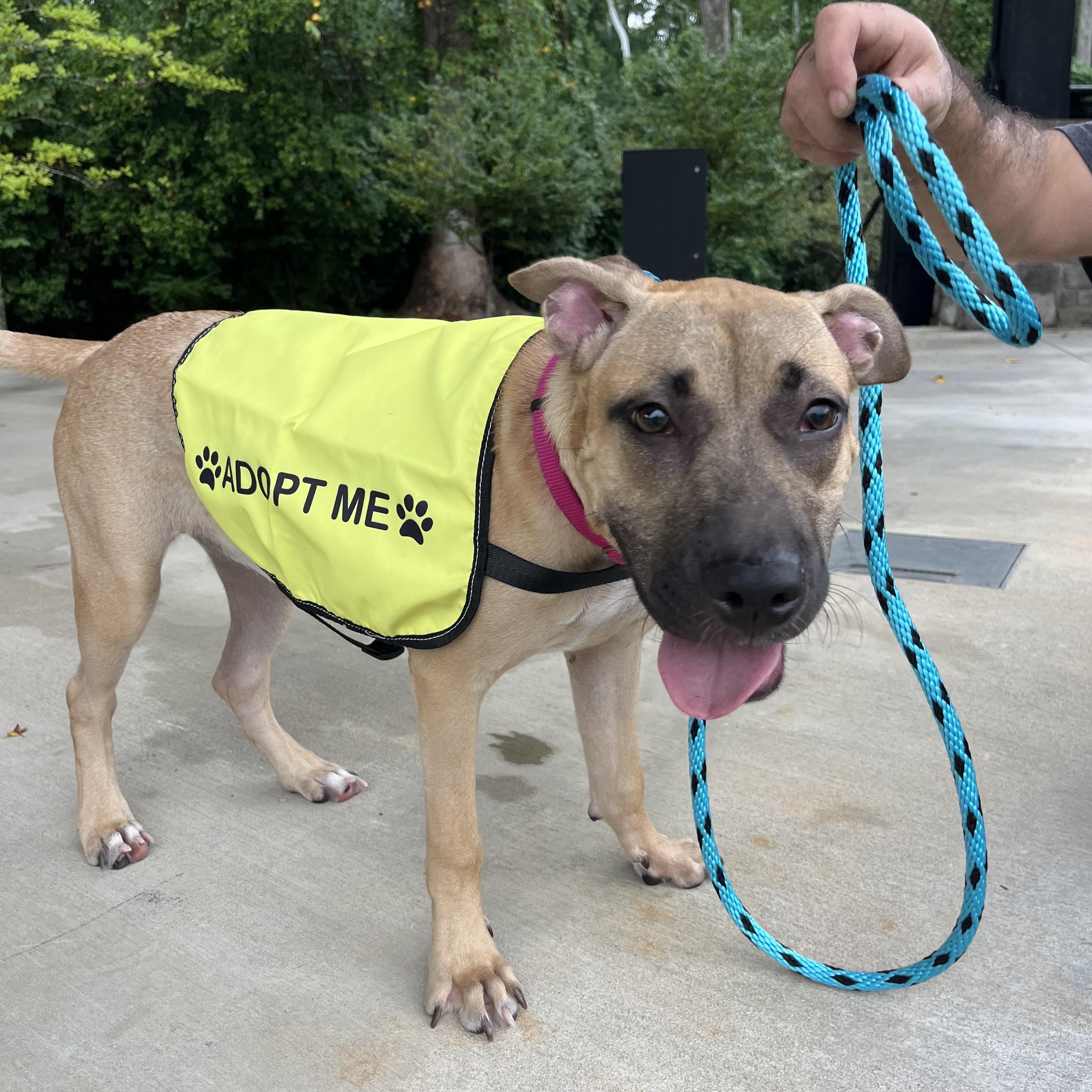 Naomi Wildman — thumbnail 5