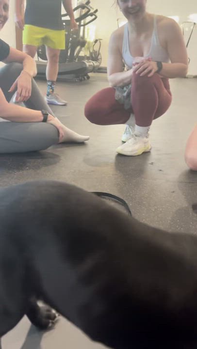 Enlarge Bonkers, a Adoptable mixed breed in Scarborough, ON video 3/6