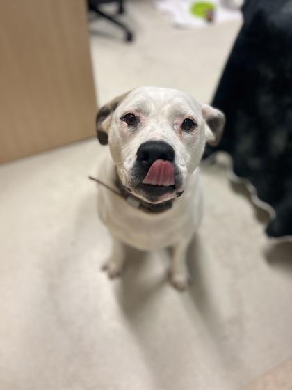 Nalla