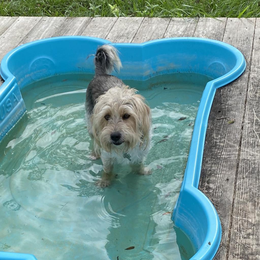 Deeohgee thumbnail 3