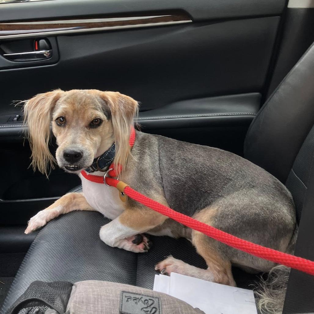 Deeohgee thumbnail 4