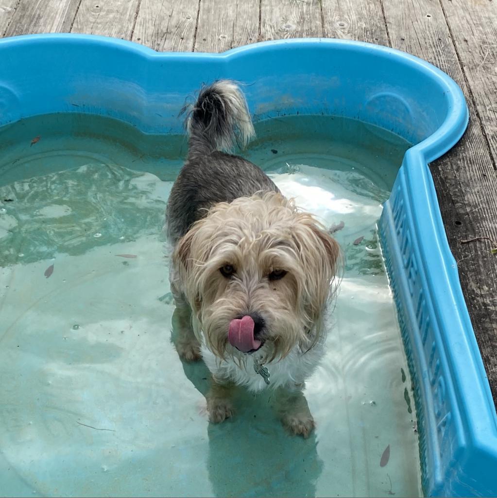 Deeohgee thumbnail 5