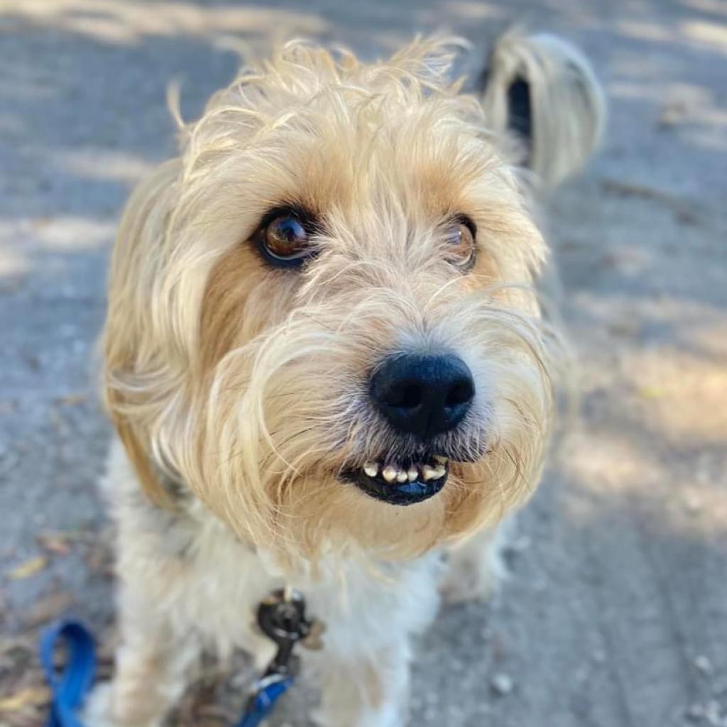 Deeohgee thumbnail 6