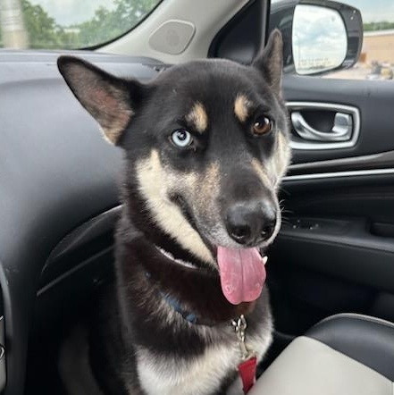 Loki 1