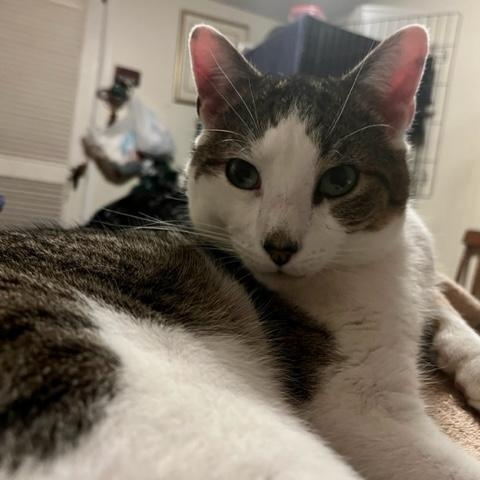 Trevor photo 2