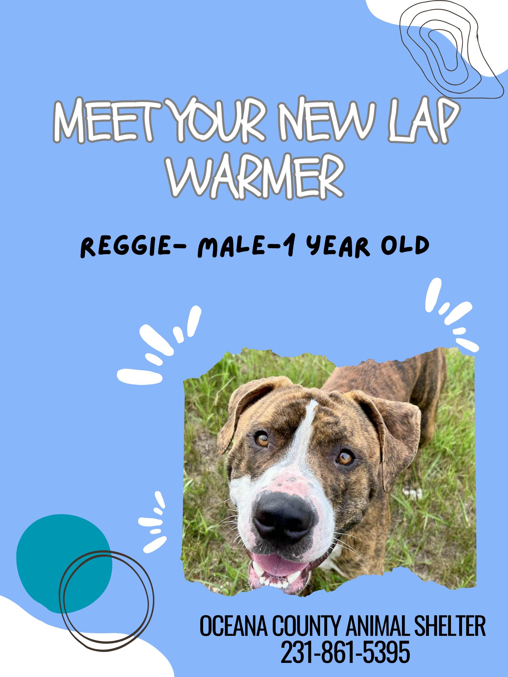 Reggie