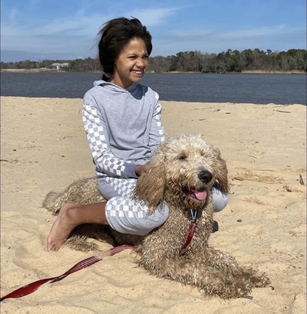 Biscuit, a Adoptable mixed breed in Johnston , RI image 2/6