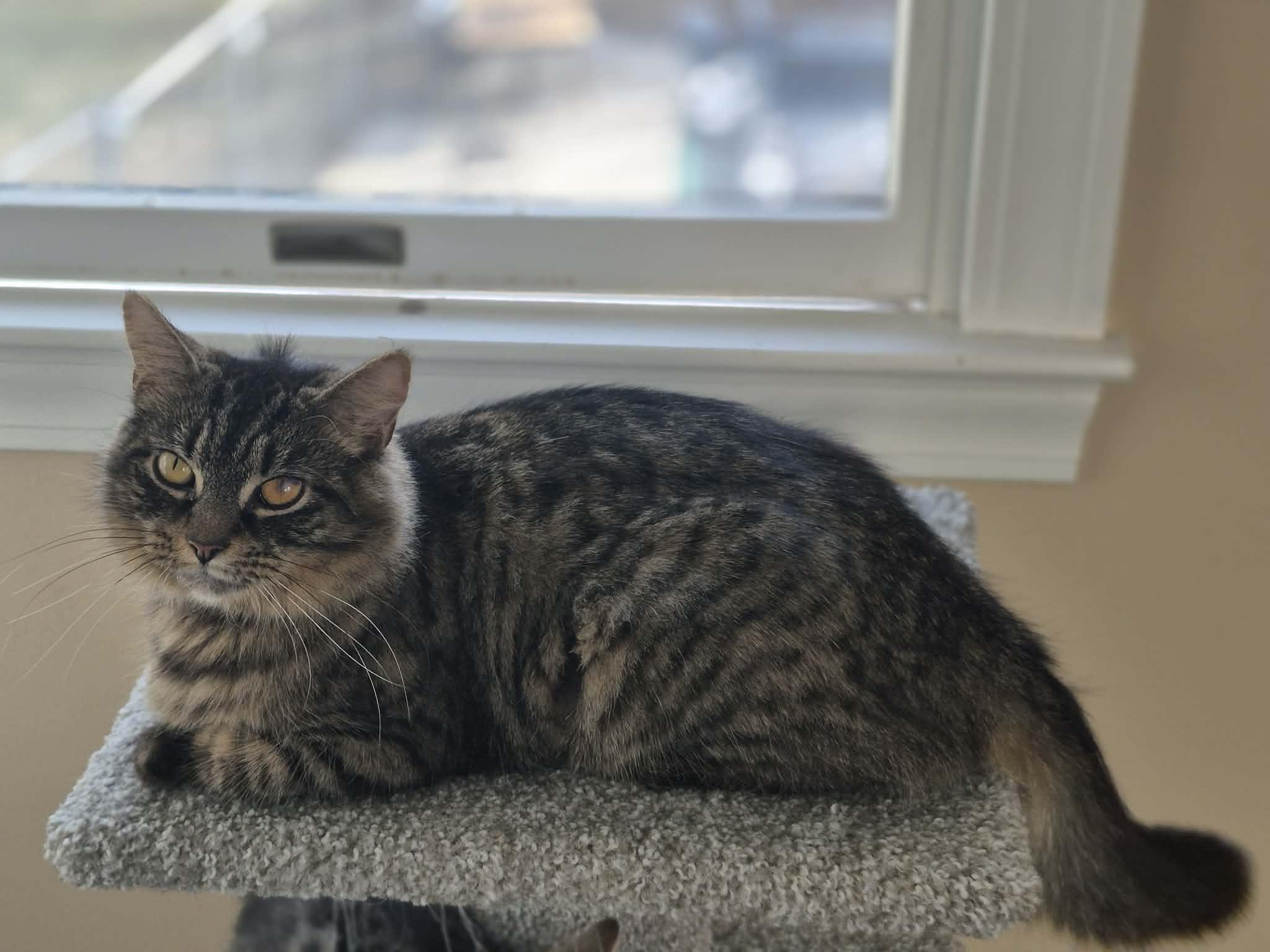 Maizie And Daisy thumbnail 2