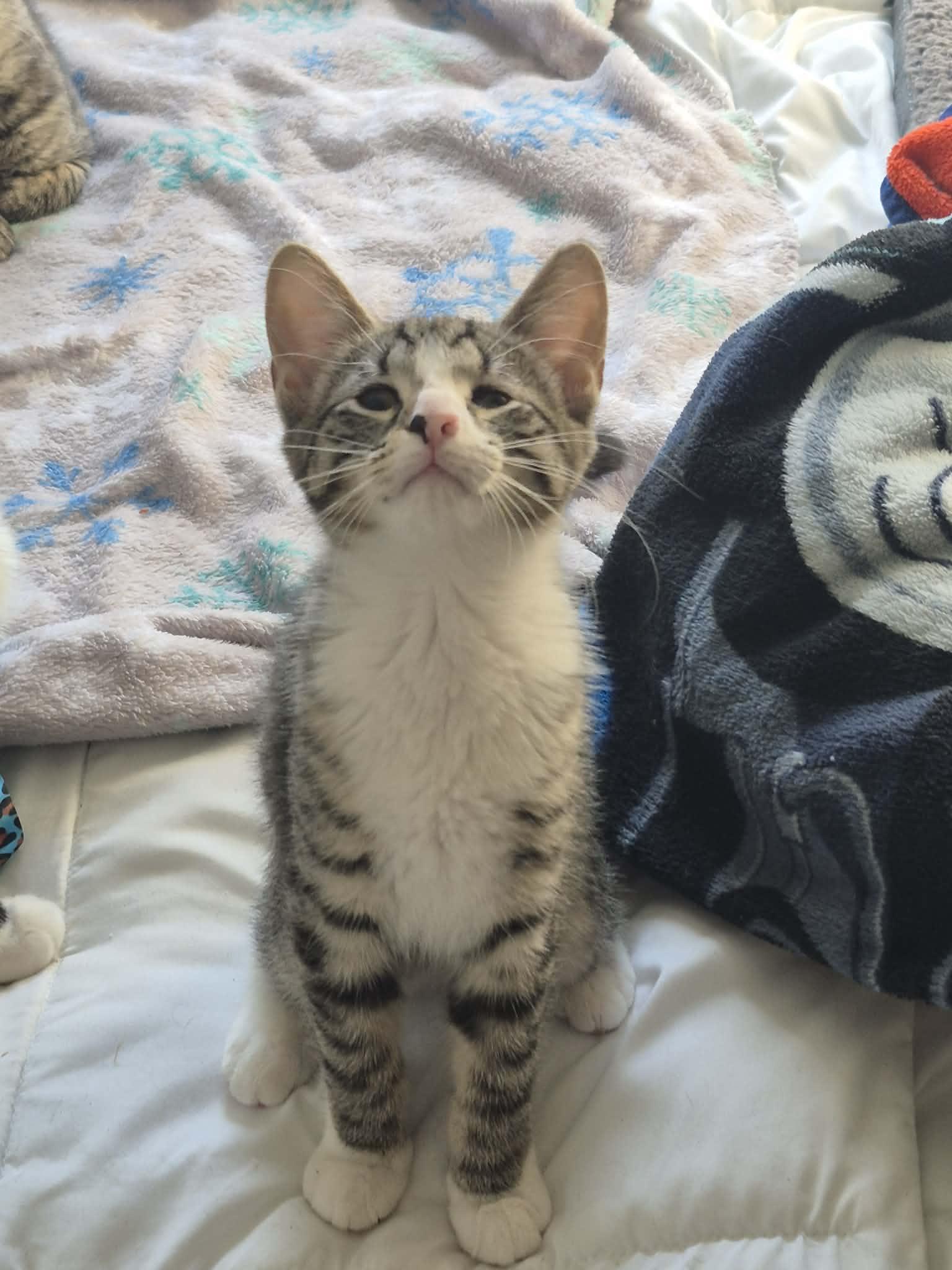 Maizie And Daisy thumbnail 3