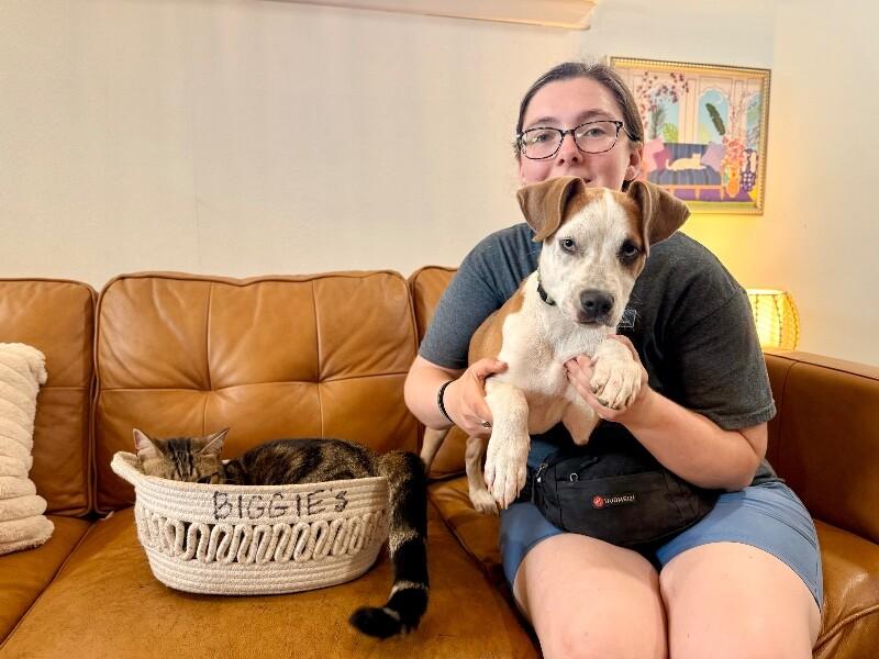 Guy Prince, a Adoptable mixed breed in Bensalem, PA image 5/6