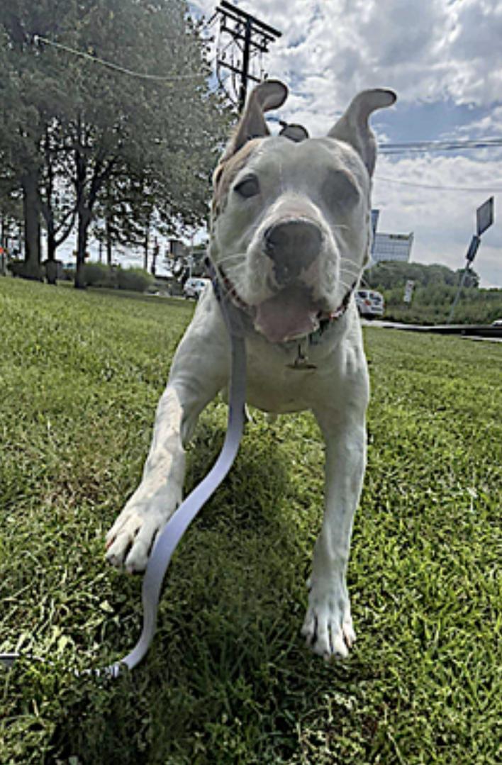 Bryce — thumbnail 3